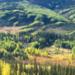 Birch&sprucepatternsonhillslopewithtaiga/borealforestalongGlobeCreek,ElliottHighway,Alaska