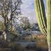 Cardoncacti,Boojums,Elephanttrees,SonoranDesertplants@Catavina,Baja