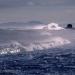 Waves,OrongorongaBeach&BaringHead,NorthIsland