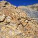Fossiloysterbeds,CretaceousDakatoSandstone,southernUtah