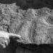 Fossilflattoppedripplemarks,CambrianAgeTapeatsSandstone,GrandCanyon,AZ