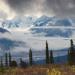 Taiga,cloudshroudedChugachMountains&NelchinaGlacier,GlennHighway,Alaska