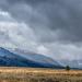 SnowstormoverridgeandgrasslandsnearStanley,Idaho